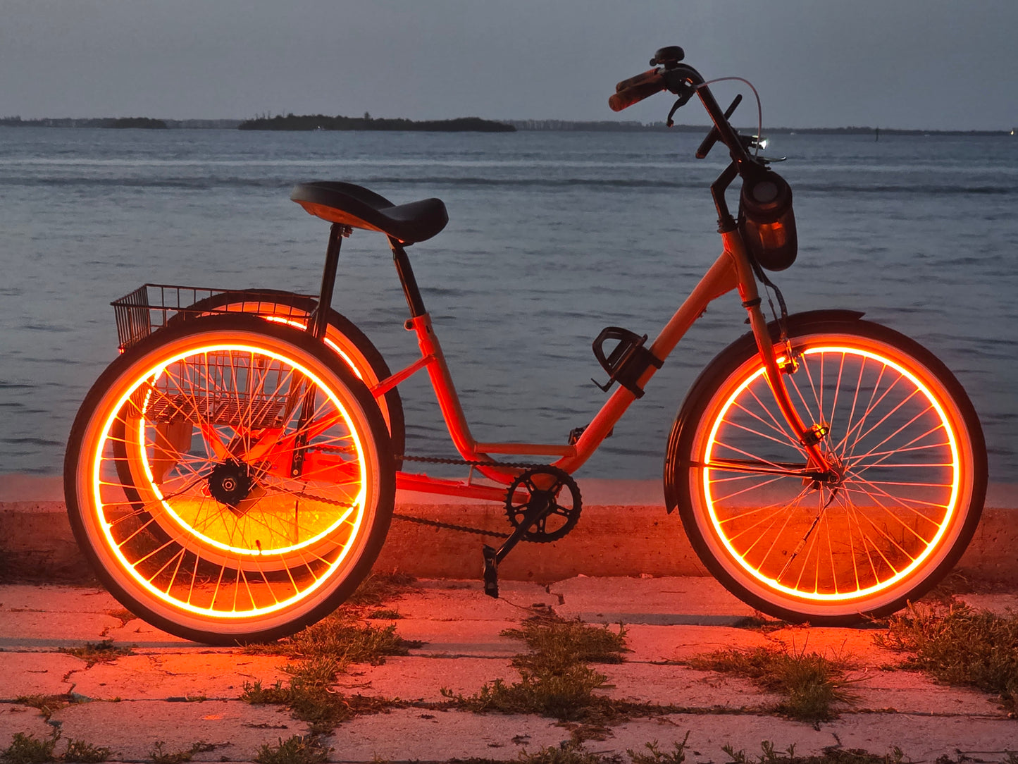Multi Colored Tricycle Lights